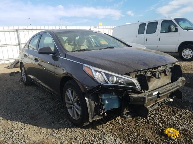 HYUNDAI SONATA SE 2015 5npe24af9fh151554