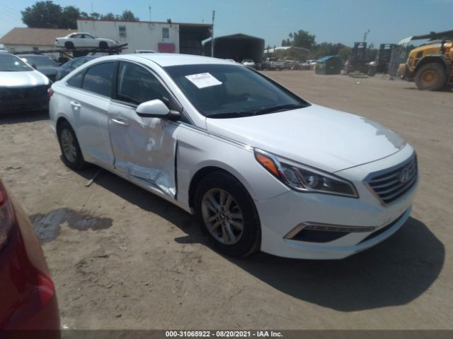 HYUNDAI SONATA 2015 5npe24af9fh159704