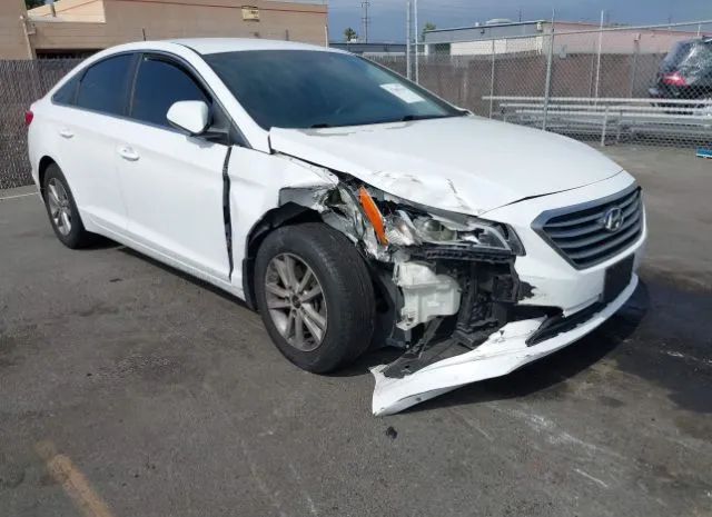 HYUNDAI SONATA 2015 5npe24af9fh163185