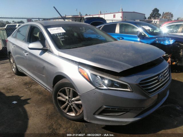 HYUNDAI SONATA 2015 5npe24af9fh181895