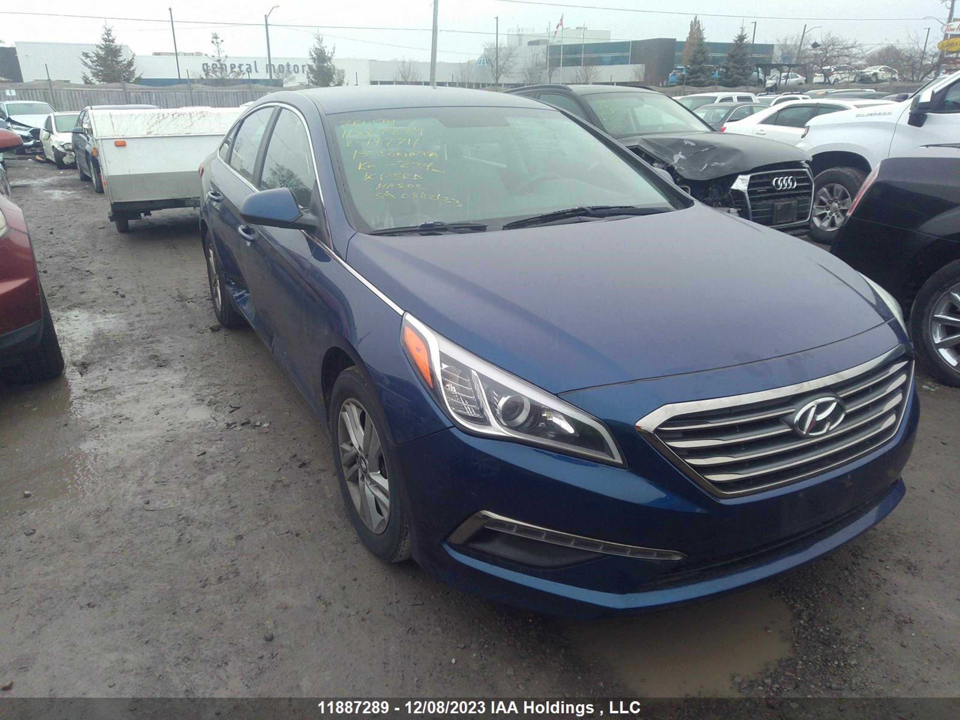 HYUNDAI SONATA 2015 5npe24af9fh197711