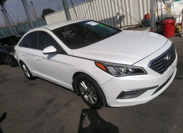 HYUNDAI SONATA 2015 5npe24af9fh199541