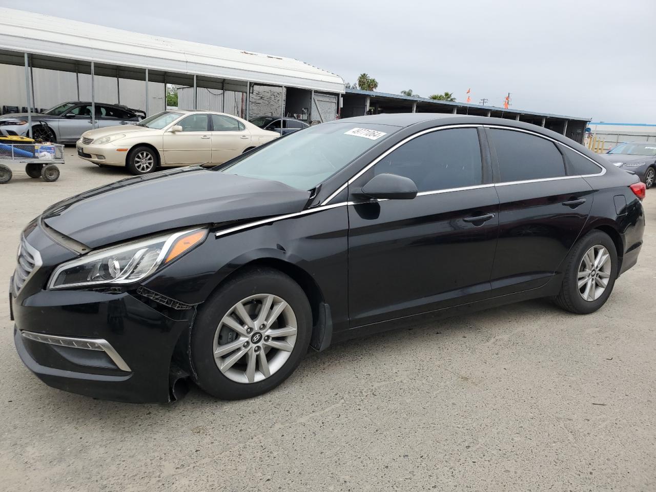 HYUNDAI SONATA 2015 5npe24af9fh209081