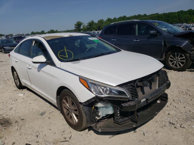 HYUNDAI SONATA 2016 5npe24af9fh212613