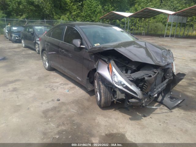 HYUNDAI SONATA 2015 5npe24af9fh221361