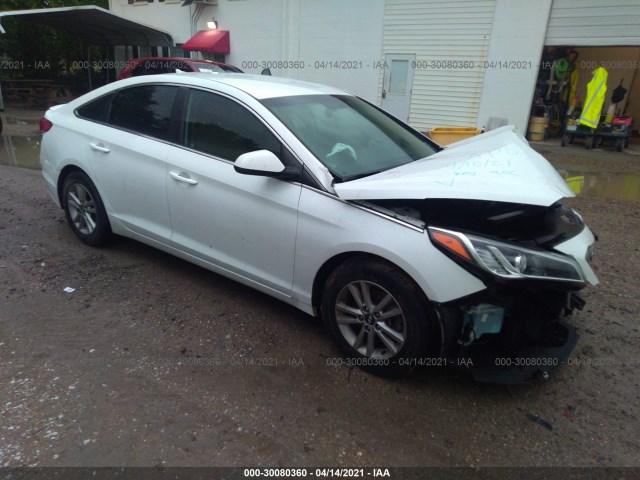 HYUNDAI SONATA 2015 5npe24af9fh223465