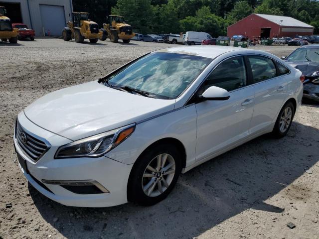 HYUNDAI SONATA 2015 5npe24af9fh234174