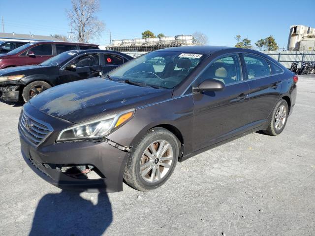 HYUNDAI SONATA 2015 5npe24af9fh245157