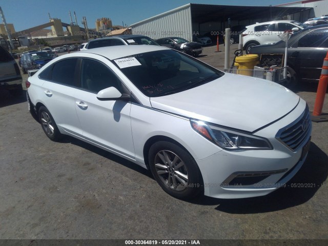 HYUNDAI SONATA 2015 5npe24af9fh246485