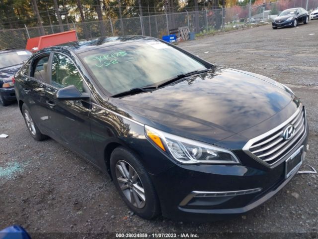 HYUNDAI SONATA 2015 5npe24af9fh249094