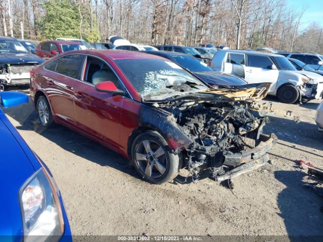 HYUNDAI SONATA 2015 5npe24af9fh249287