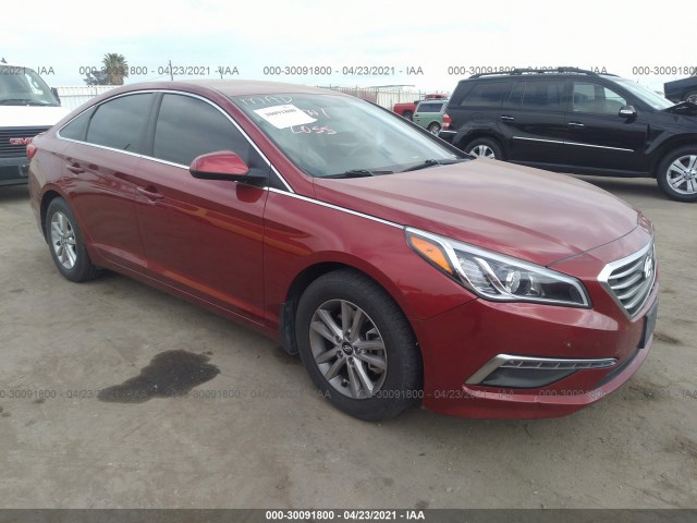 HYUNDAI SONATA 2015 5npe24af9fh252352