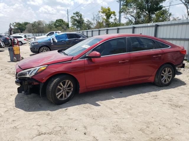 HYUNDAI SONATA 2016 5npe24af9gh260257