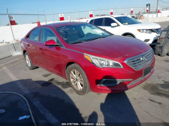 HYUNDAI SONATA 2016 5npe24af9gh266916