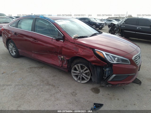 HYUNDAI SONATA 2016 5npe24af9gh272098