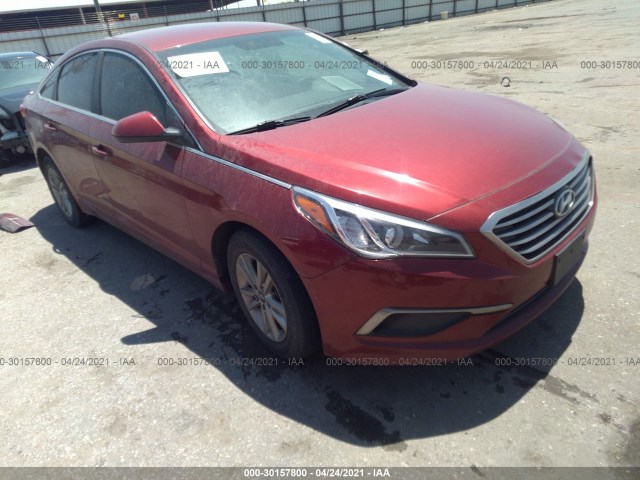 HYUNDAI SONATA 2016 5npe24af9gh273588