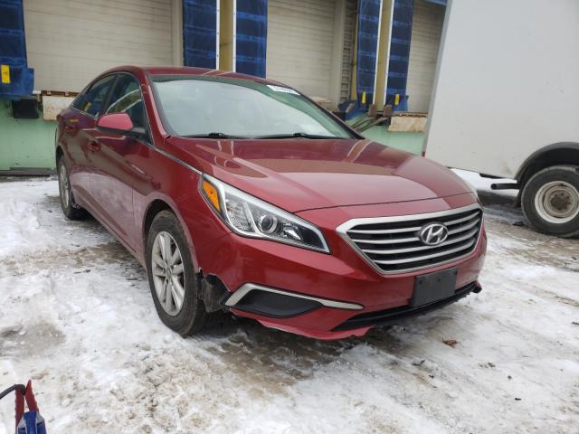 HYUNDAI SONATA SE 2016 5npe24af9gh279682