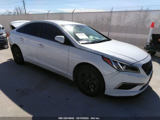 HYUNDAI SONATA 2016 5npe24af9gh280282