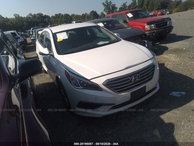 HYUNDAI SONATA 2016 5npe24af9gh291847