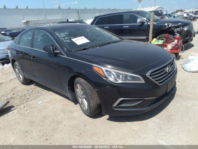 HYUNDAI SONATA 2016 5npe24af9gh291895