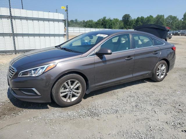 HYUNDAI SONATA 2016 5npe24af9gh291931