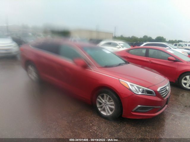 HYUNDAI SONATA 2016 5npe24af9gh292822