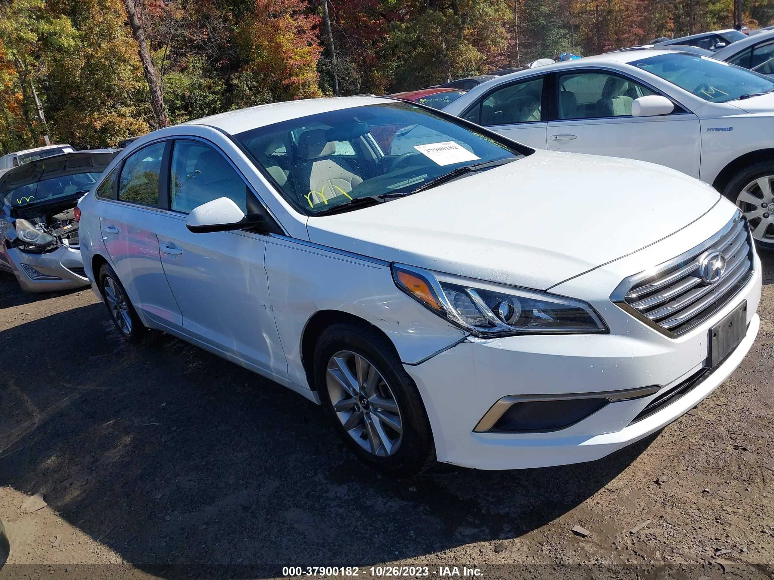 HYUNDAI SONATA 2016 5npe24af9gh295669