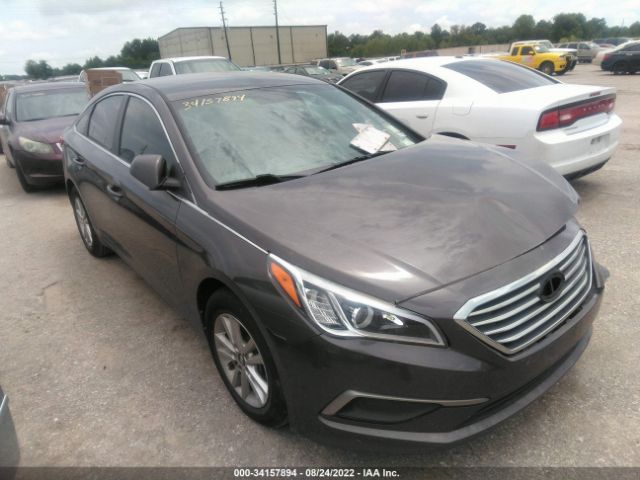 HYUNDAI SONATA 2016 5npe24af9gh298832