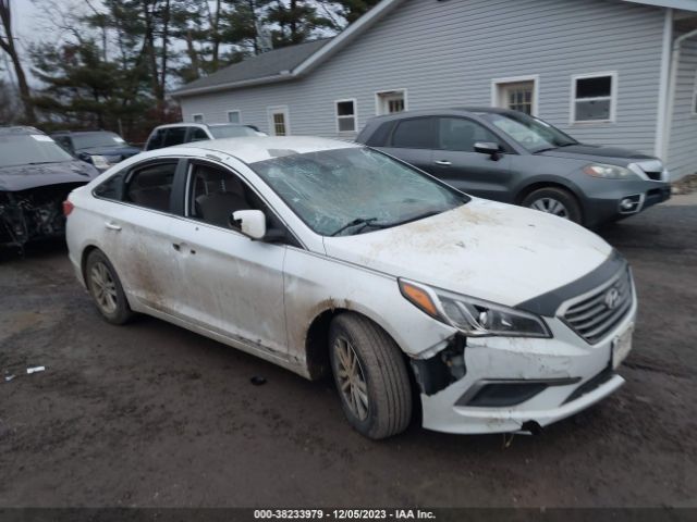 HYUNDAI SONATA 2016 5npe24af9gh304516