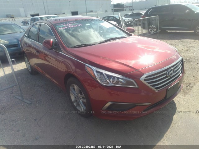 HYUNDAI SONATA 2016 5npe24af9gh305617