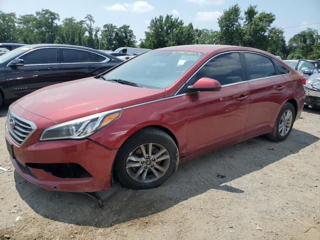 HYUNDAI SONATA SE 2016 5npe24af9gh312289