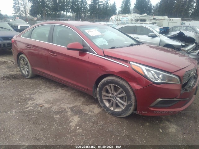 HYUNDAI SONATA 2016 5npe24af9gh314365