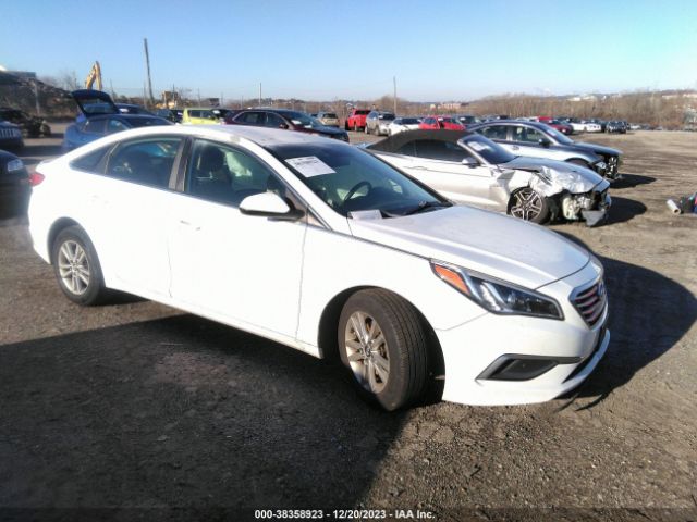 HYUNDAI SONATA 2016 5npe24af9gh315533