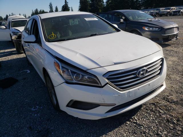 HYUNDAI SONATA SE 2016 5npe24af9gh316133