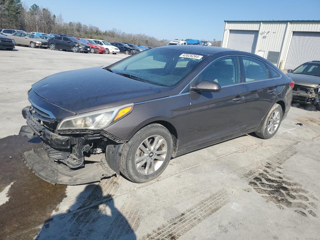 HYUNDAI SONATA 2016 5npe24af9gh318982