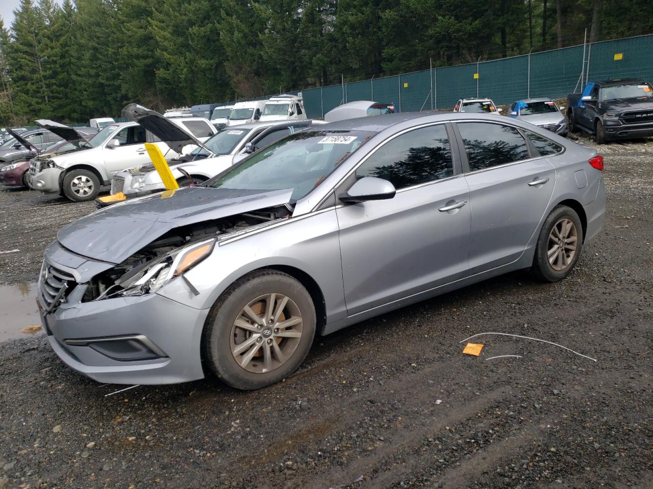 HYUNDAI SONATA 2016 5npe24af9gh321770