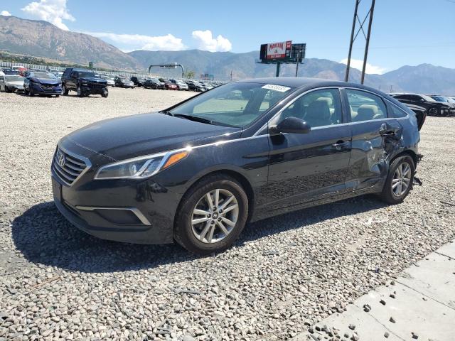 HYUNDAI SONATA 2016 5npe24af9gh324703