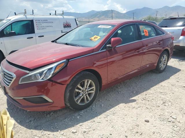 HYUNDAI SONATA 2016 5npe24af9gh329982