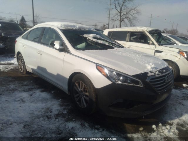 HYUNDAI SONATA 2016 5npe24af9gh344837