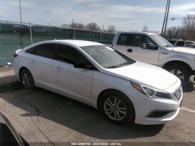 HYUNDAI SONATA 2016 5npe24af9gh351271