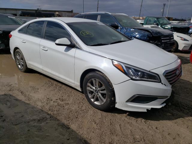 HYUNDAI SONATA SE 2016 5npe24af9gh352680