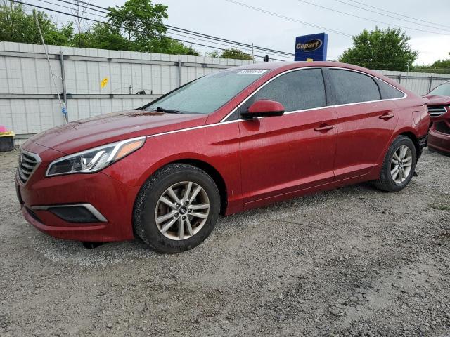 HYUNDAI SONATA 2016 5npe24af9gh363808