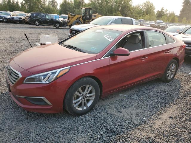 HYUNDAI SONATA SE 2016 5npe24af9gh363999