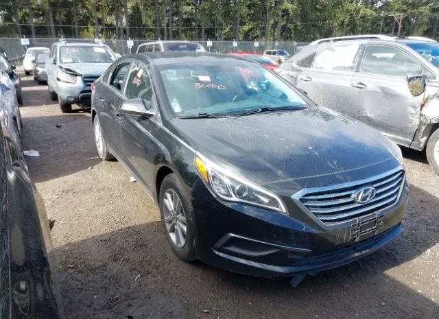 HYUNDAI SONATA 2016 5npe24af9gh366403