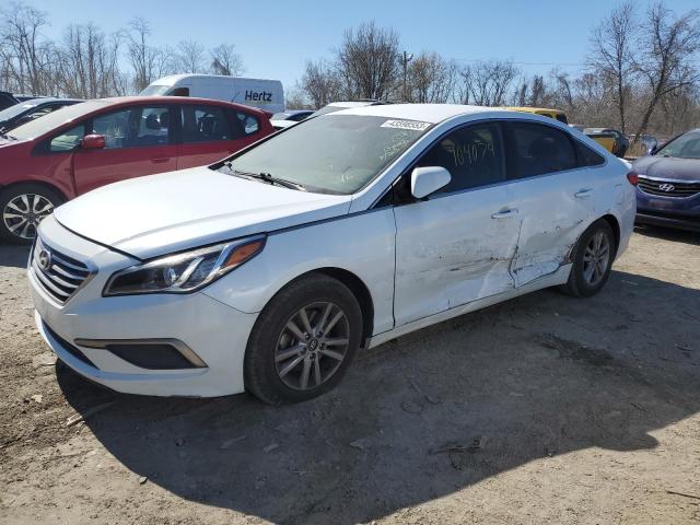 HYUNDAI SONATA SE 2016 5npe24af9gh366630