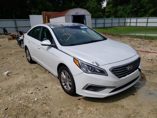 HYUNDAI SONATA SE 2016 5npe24af9gh368507