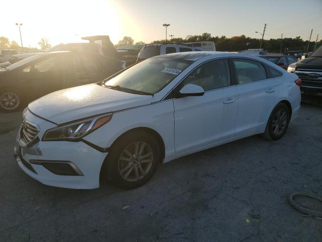 HYUNDAI SONATA SE 2016 5npe24af9gh371374