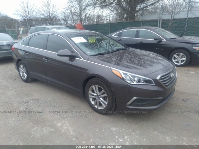 HYUNDAI SONATA 2016 5npe24af9gh379913