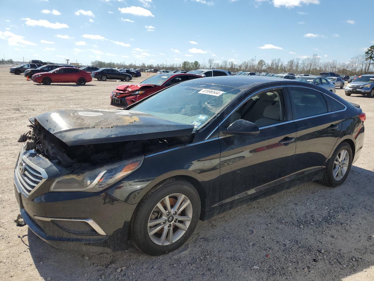 HYUNDAI SONATA 2016 5npe24af9gh383993