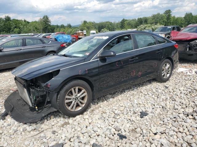 HYUNDAI SONATA 2016 5npe24af9gh385484